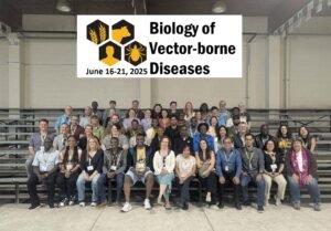BVBD2025